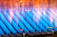 Twynllanan gas fired boilers